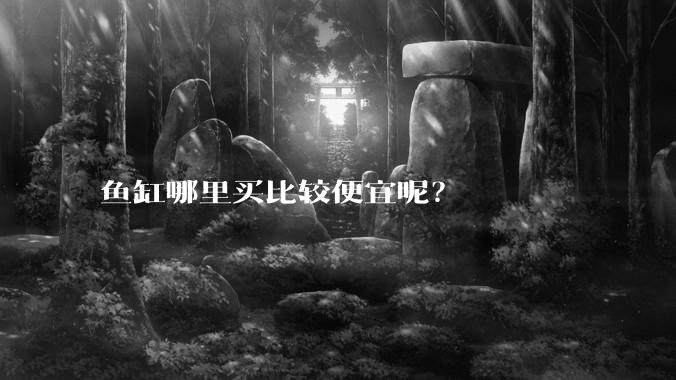 鱼缸哪里买比较便宜呢？