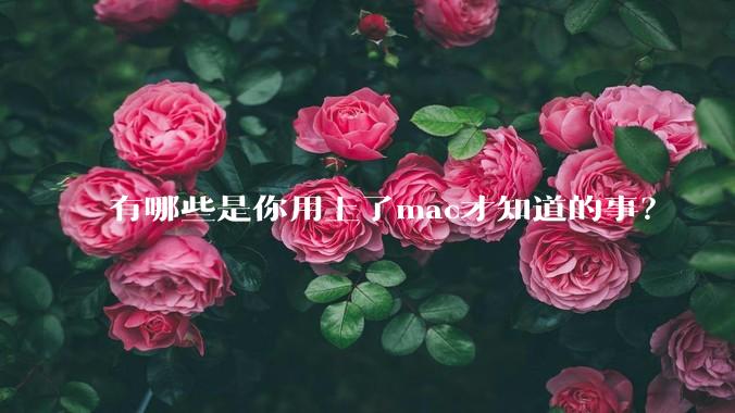 有哪些是你用上了mac才知道的事？