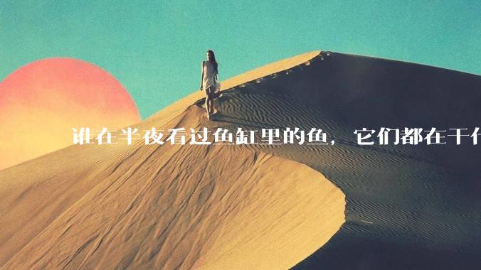 谁在半夜看过鱼缸里的鱼，它们都在干什么？