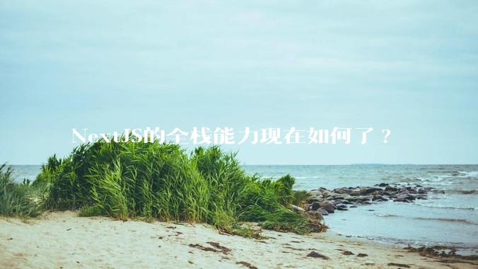 NextJS的全栈能力现在如何了?