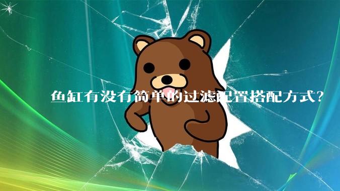 鱼缸有没有简单的过滤配置搭配方式？