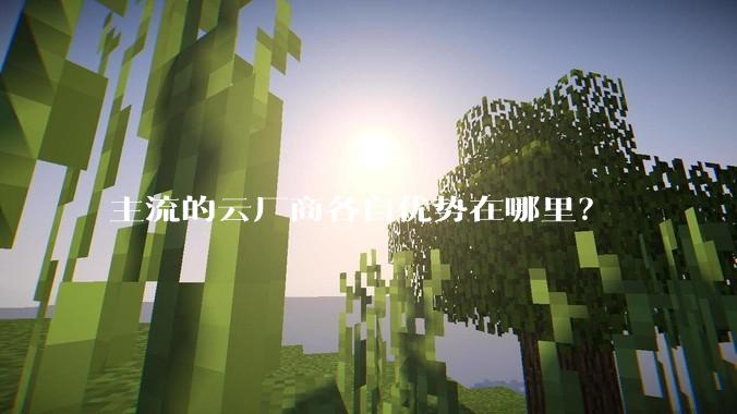 主流的云厂商各自优势在哪里？