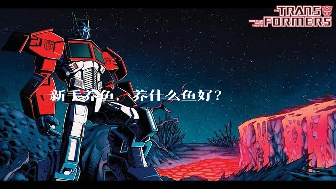 新手养鱼，养什么鱼好？