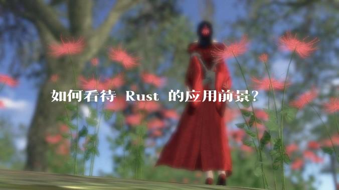 如何看待 Rust 的应用前景？
