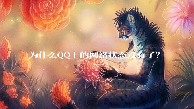 为什么QQ上的网络状态没有了？
